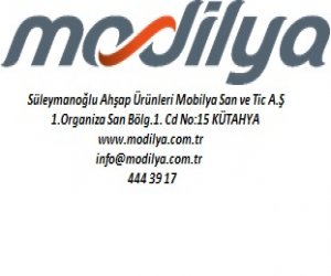 mobilya1
